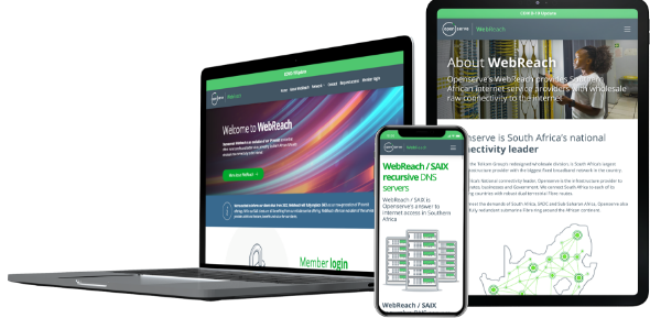 WebReach web portal images